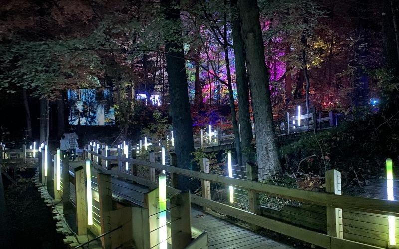 IllumiZoo, is Now Open; Getting Rave Reviews